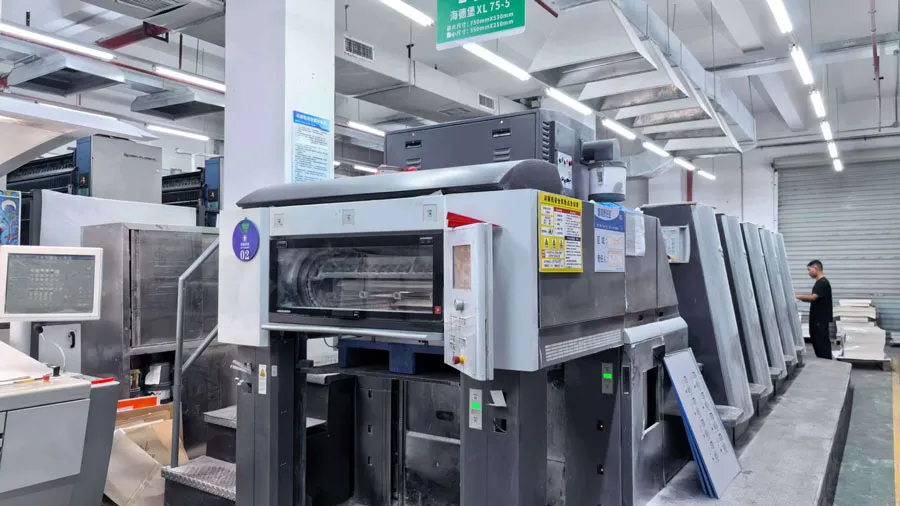 Welche Probleme kann die vollautomatische Produktionslinie von Heidelberg bei der Verpackungsanpassung lösen?